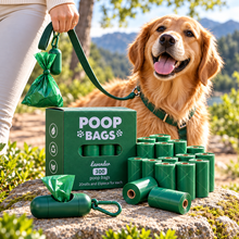 Emerald Green lifestyle — trail